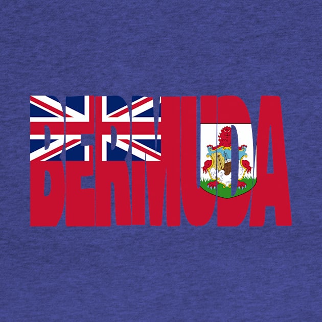 Bermuda flag stencil by Kuni Art